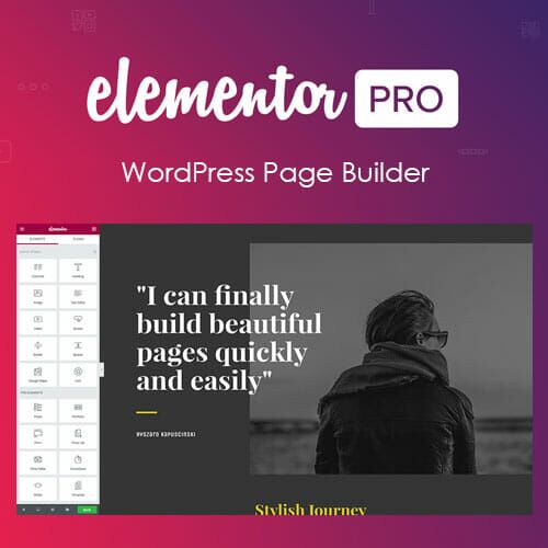 Elementor Pro WordPress Page Builder