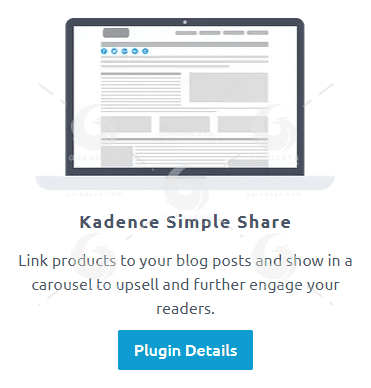 Kadence Simple Share Plugin