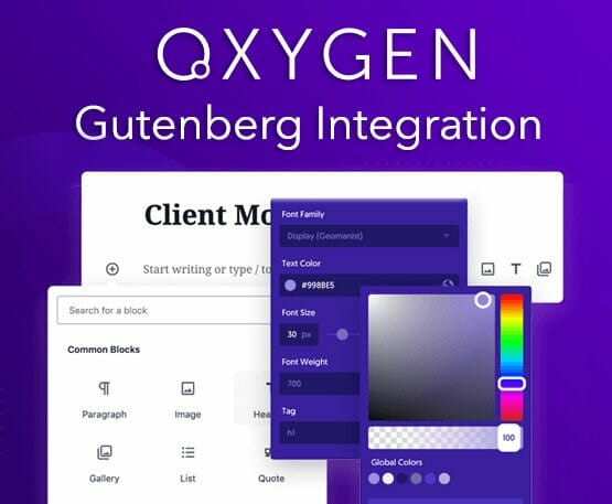 Oxygen Gutenberg Integration