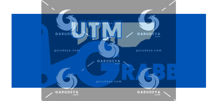 HandL UTM Grabber Premium - UTM Tracking & Lead Attribution