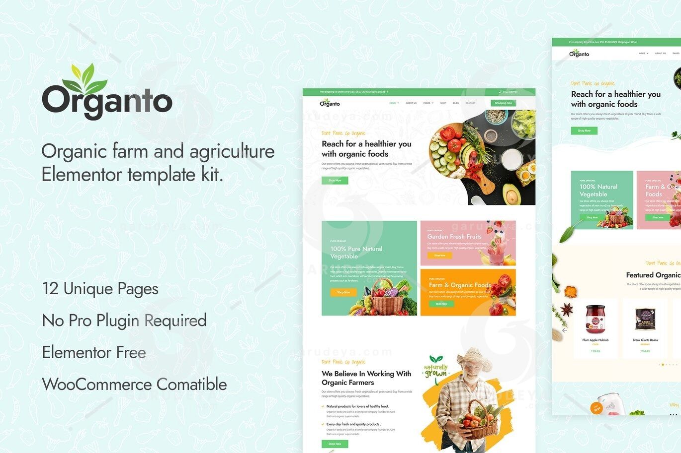 Organto - Organic Food Elementor Template Kit