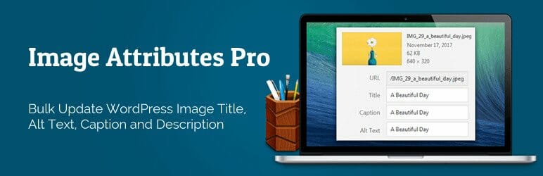 Auto Image Attributes Pro