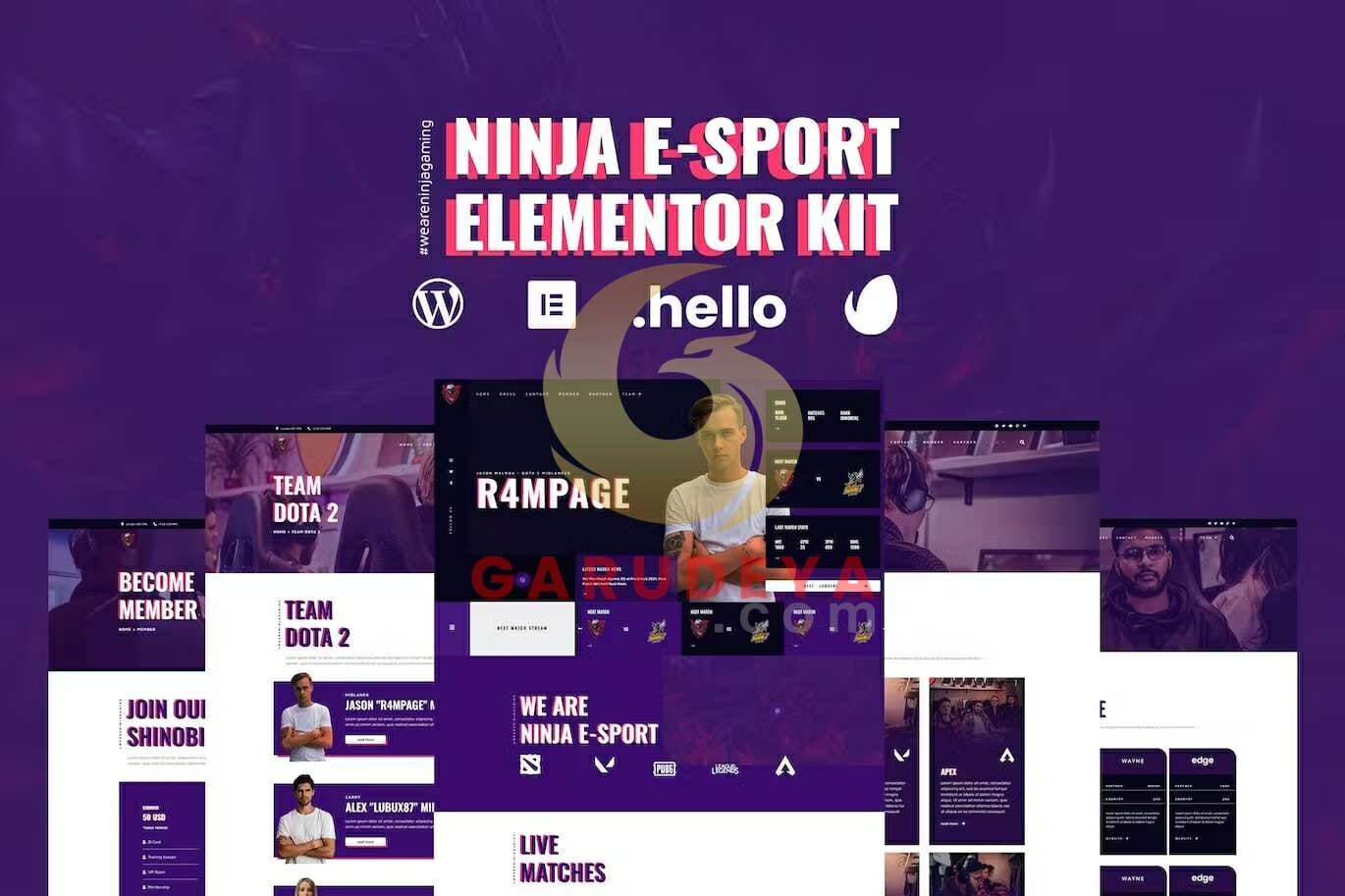 Ninja - Esports & Gaming Elementor Template Kit