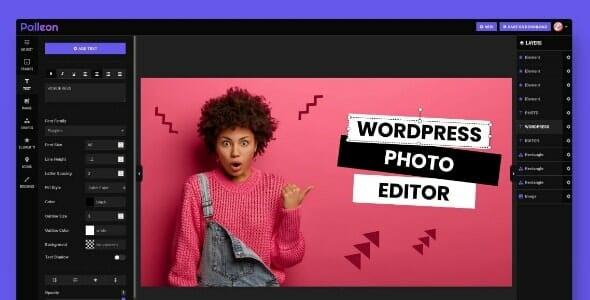 Palleon - WordPress Image Editor