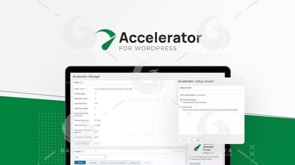 Seraphinite Accelerator Extended Plugin