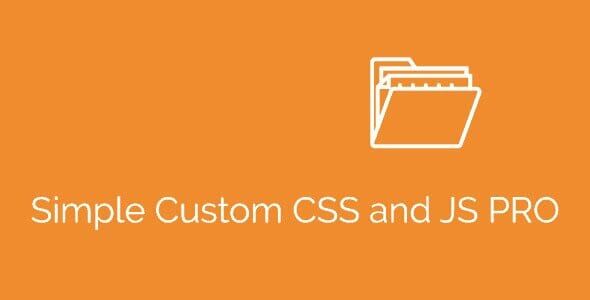 Simple Custom CSS and JS PRO